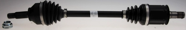 Drive Shaft