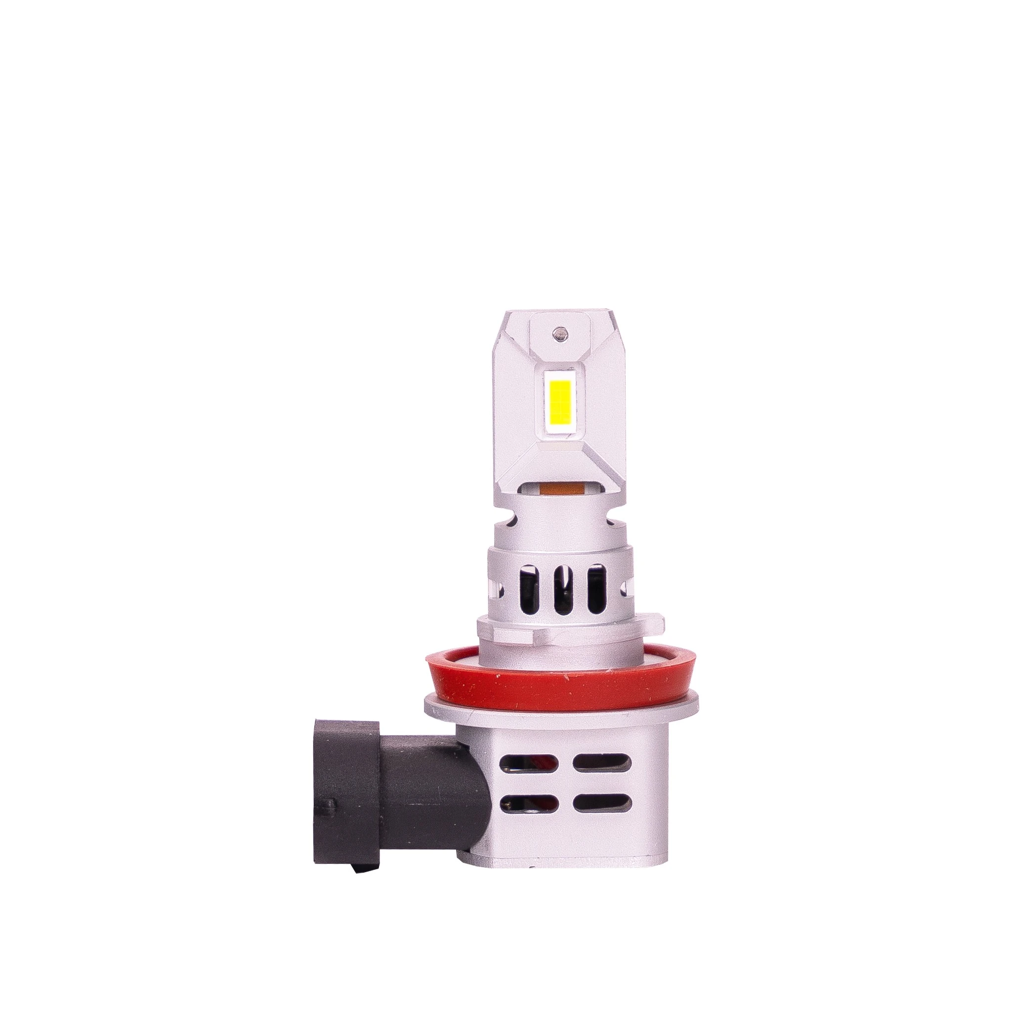 Bulb, spotlight