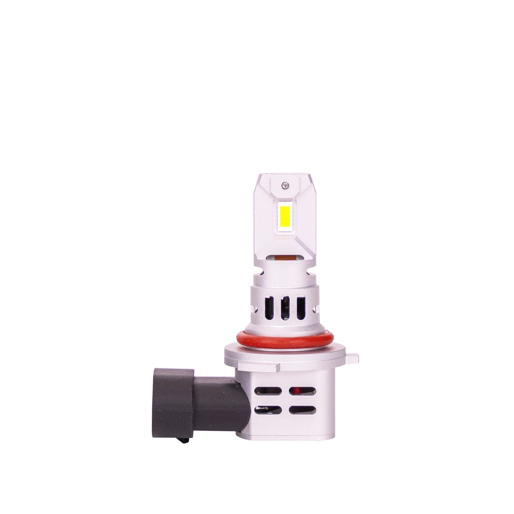 Bulb, spotlight