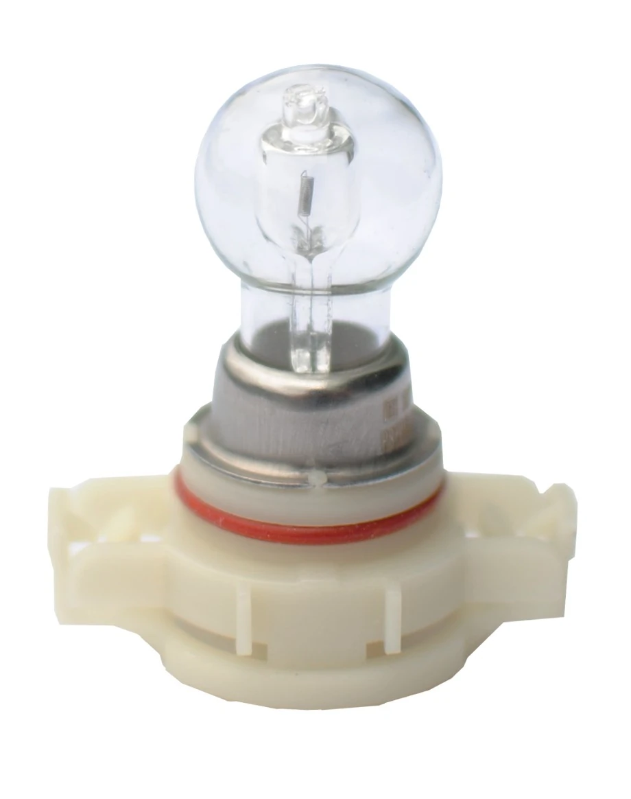 Bulb, spotlight