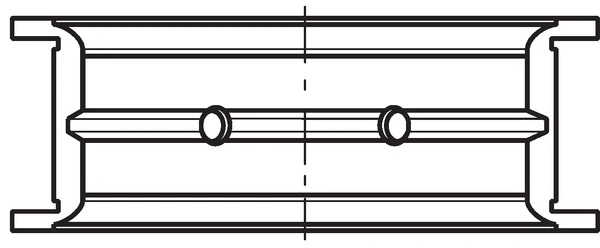 Crankshaft Bearing