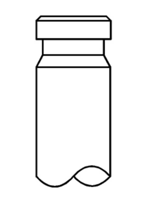 Exhaust Valve