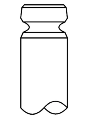 Intake Valve