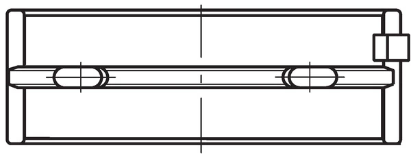 Crankshaft Bearing