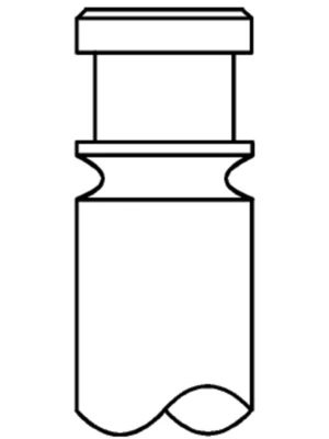 Intake Valve