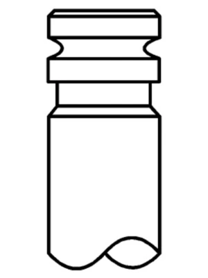 Intake Valve