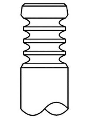 Exhaust Valve