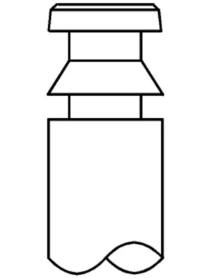 Intake Valve
