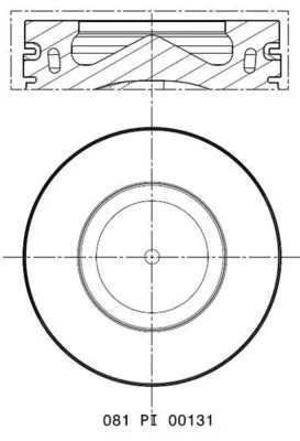 Piston