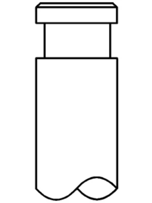 Intake Valve