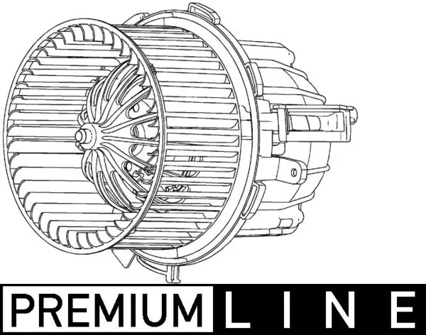 Interior Blower