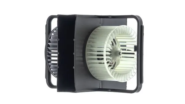 Interior Blower