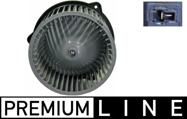 Interior Blower