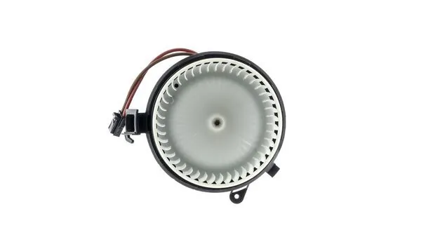 Interior Blower