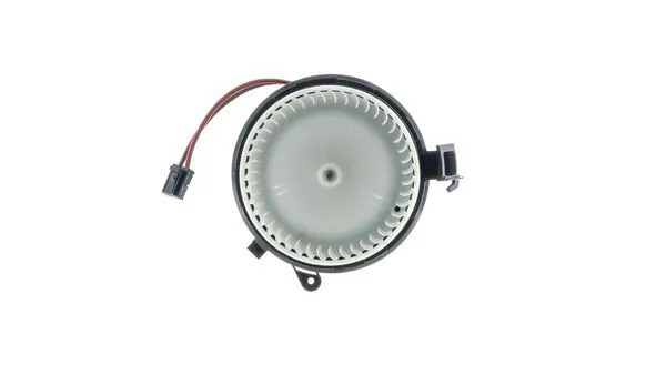 Interior Blower