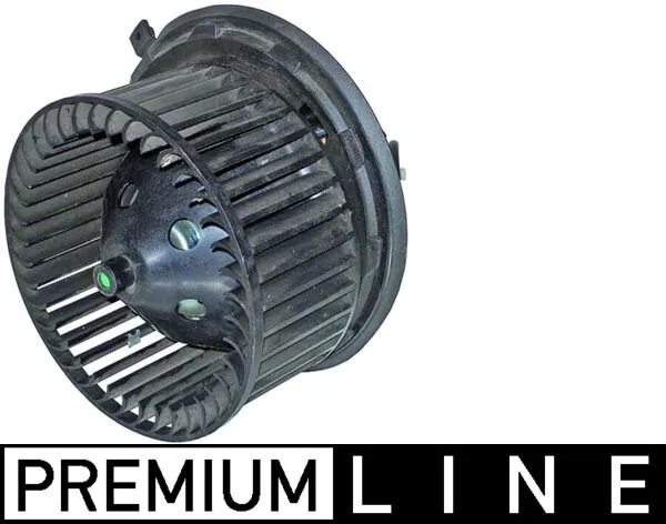 Interior Blower