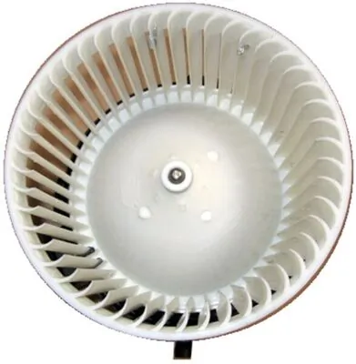 Interior Blower