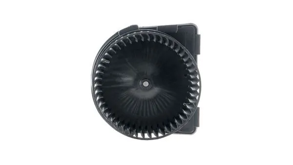 Interior Blower