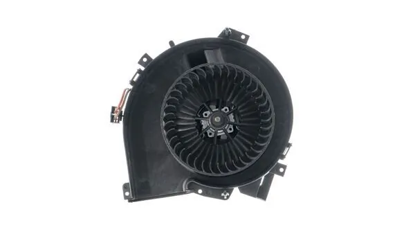 Interior Blower