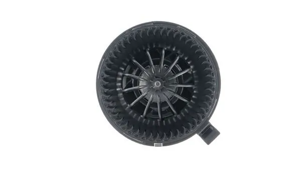 Interior Blower