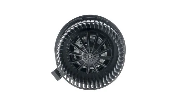 Interior Blower