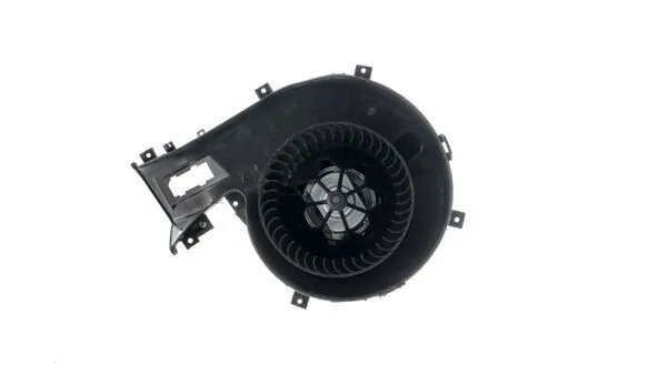 Interior Blower