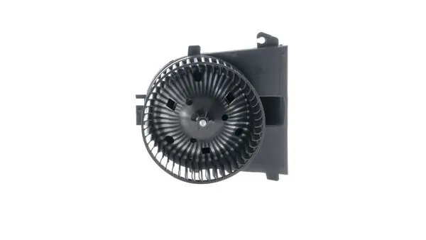 Interior Blower