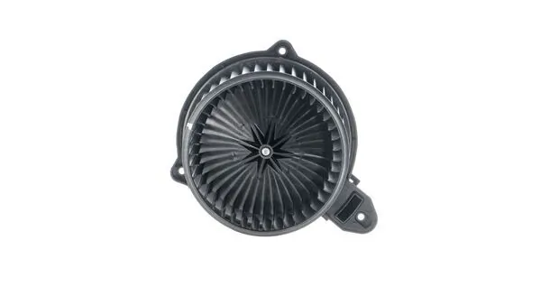 Interior Blower