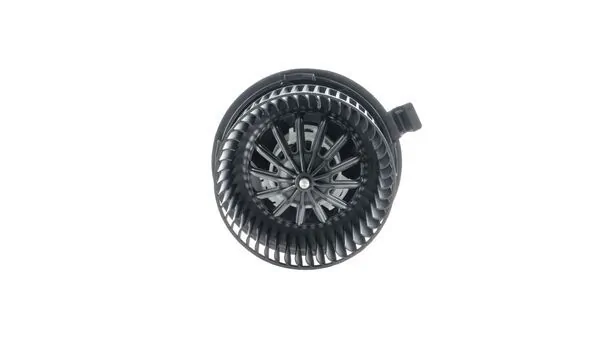 Interior Blower