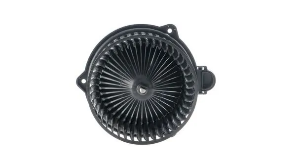 Interior Blower