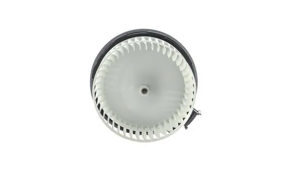 Interior Blower