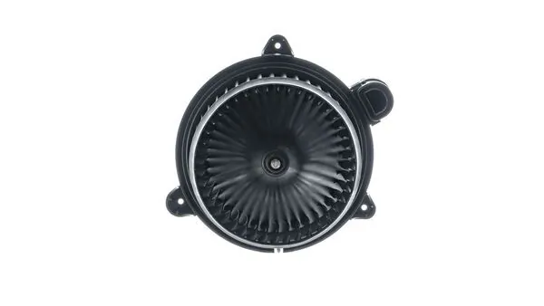 Interior Blower