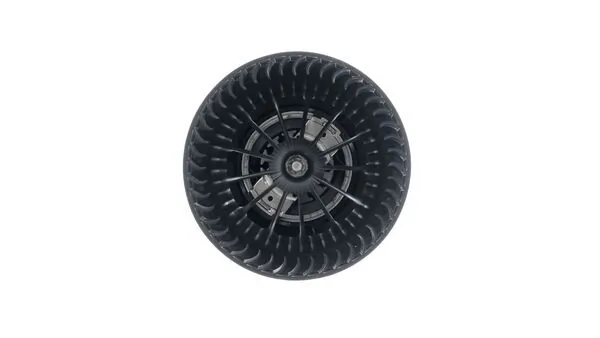 Interior Blower