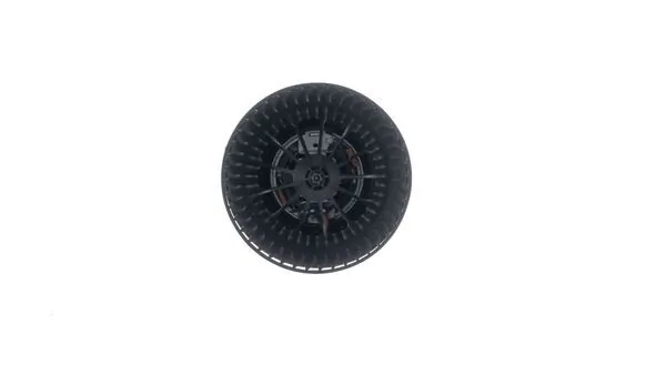 Interior Blower