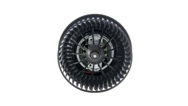 Interior Blower