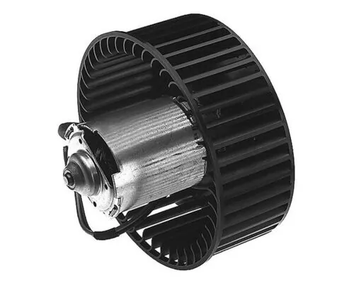 Interior Blower