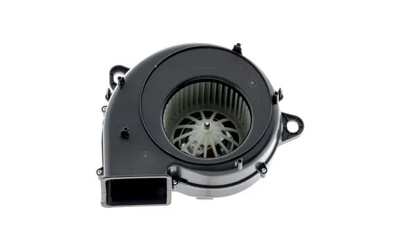 Interior Blower