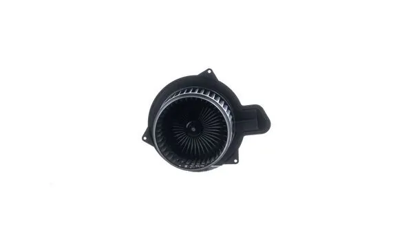 Interior Blower