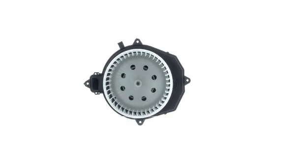 Interior Blower