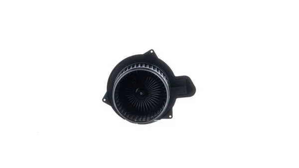 Interior Blower