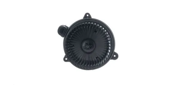 Interior Blower