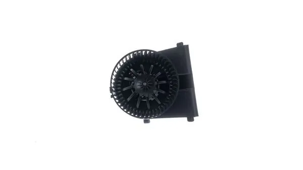 Interior Blower