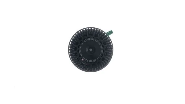 Interior Blower
