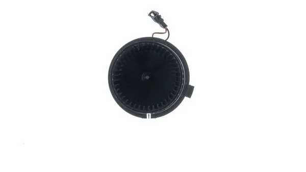 Interior Blower