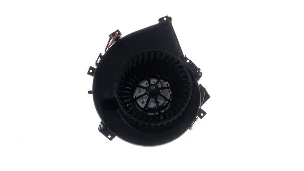 Interior Blower