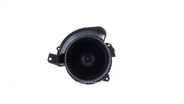 Interior Blower