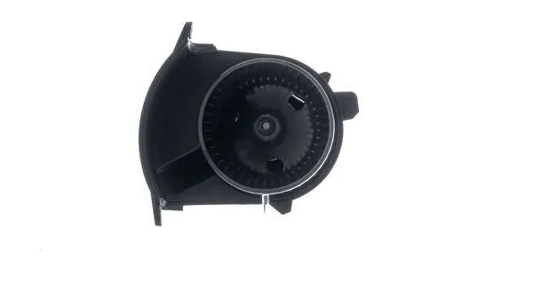 Interior Blower