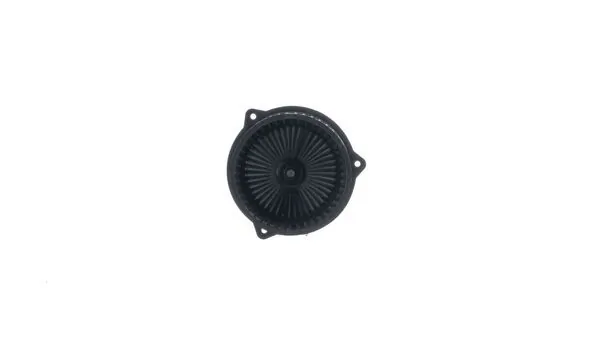 Interior Blower