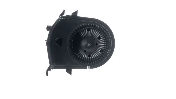 Interior Blower