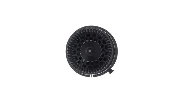 Interior Blower